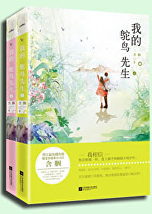 我的鸵鸟先生