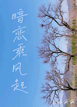 暗恋乘风起