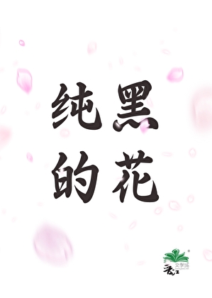 纯黑的花枝鼠是什么品种