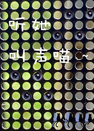 听她叫声喵