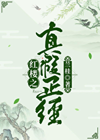 红楼之真假正经兰桂