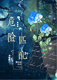 星际系统匹配婚姻