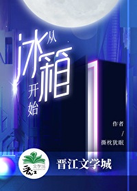 从冰箱开始书评