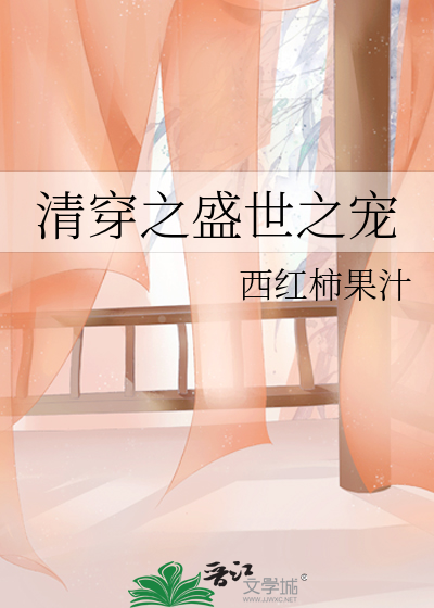 清穿之盛世之宠小说