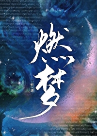 燃梦小说二听免费阅读笔趣阁