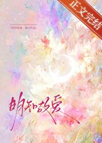 明知故爱讲的什么