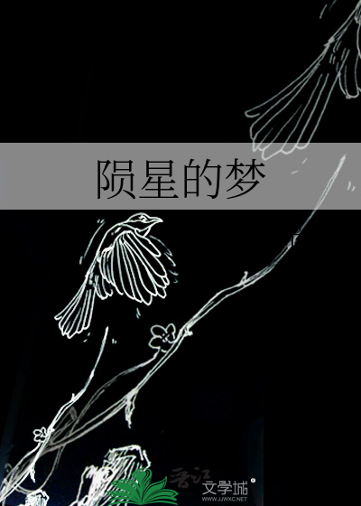 陨星星骸位置