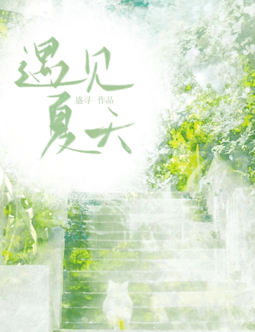 遇见 夏天