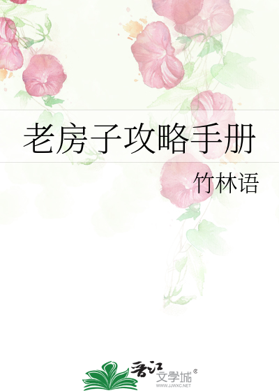 老房游戏