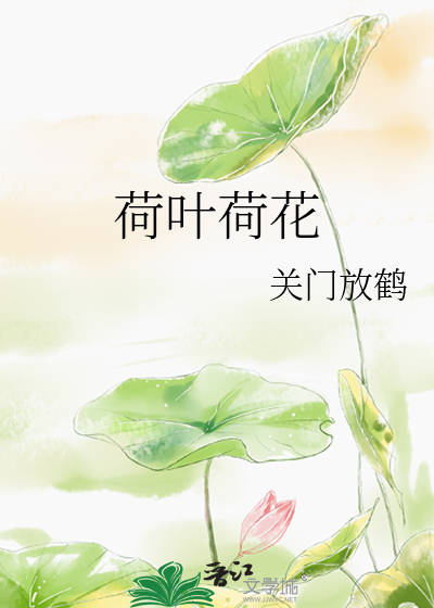 荷叶荷花图片大全 高清