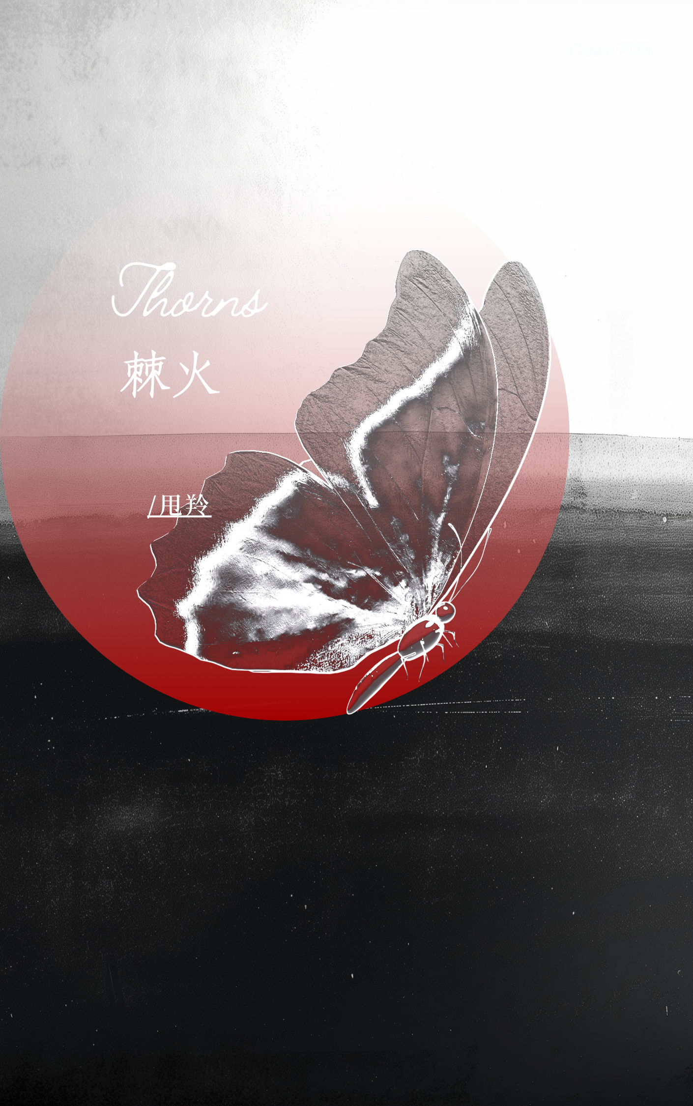 棘火把