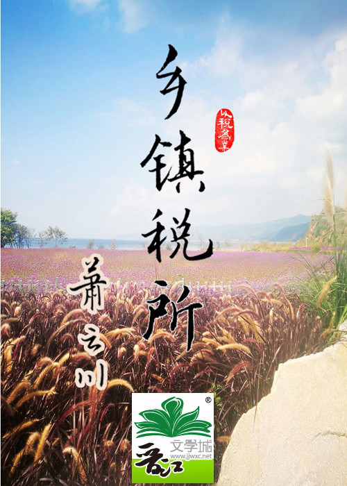 乡镇税所能不能查企业的账目