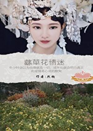 蘨草花情迷